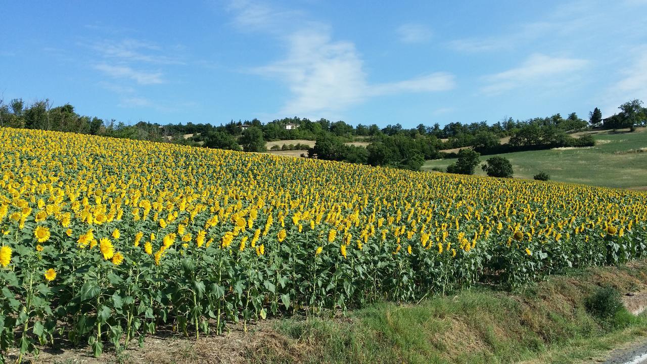 Albergo Sapori Tole Buitenkant foto